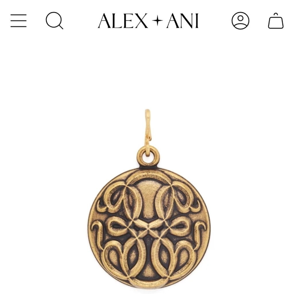 Alex and Ani Rafaelian Gold Charm .925 Sterling Hook New 2016 Chain Station